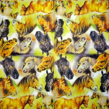 051 Pferde - 3-lagig - Ambiente